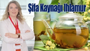 Şifa Kaynağı Ihlamurun 5 Önemli Faydası