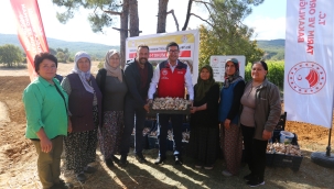 ULA SARIMSAĞINDA İMECE USULÜ ‘ÜRETİM’ MODELİ
