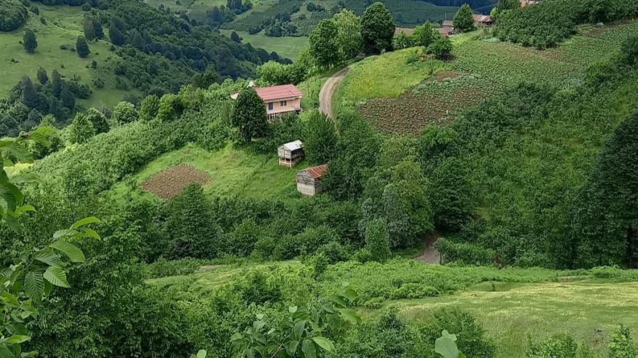 Köylümüzü ve Çiftçimizi Yeniden Toprakla Barıştırmalıyız
