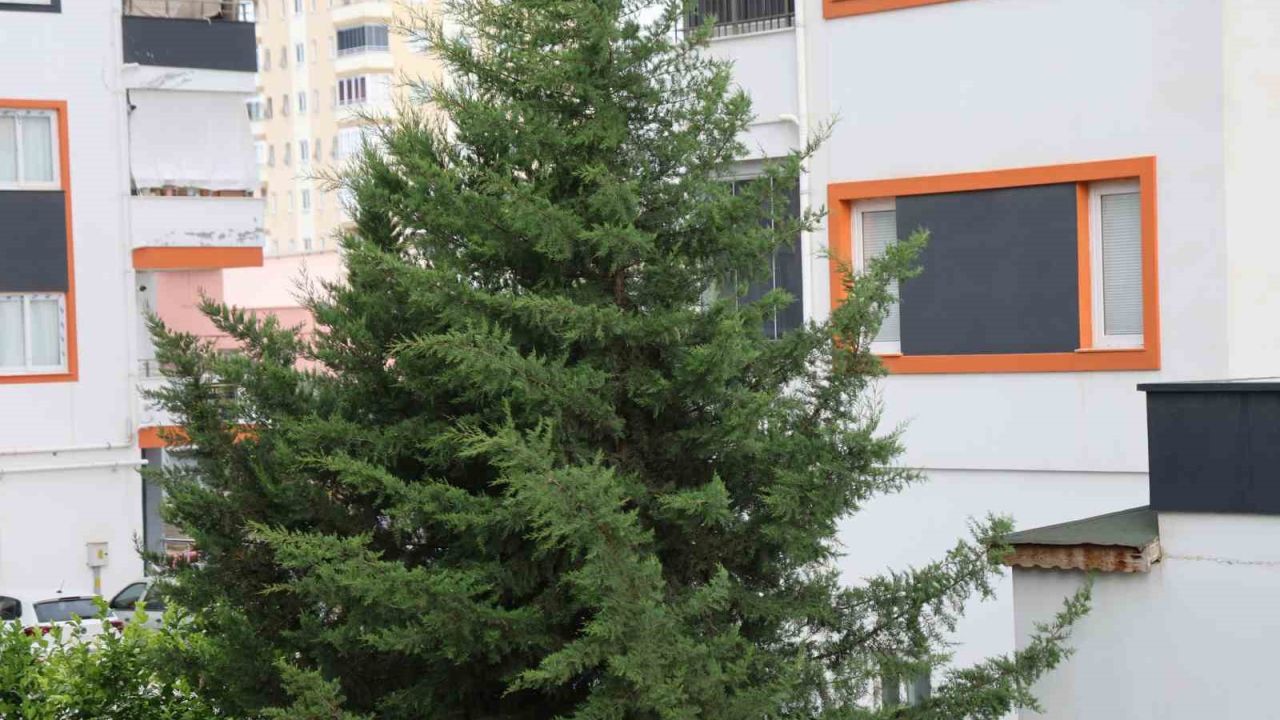 Adana’nın kuzey ilçelerinde kuvvetli rüzgar etkili oldu