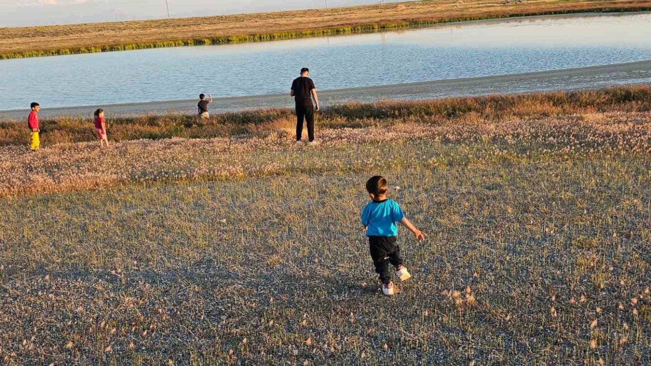 Adilcevaz’daki göletler yağışlarla yeniden doldu