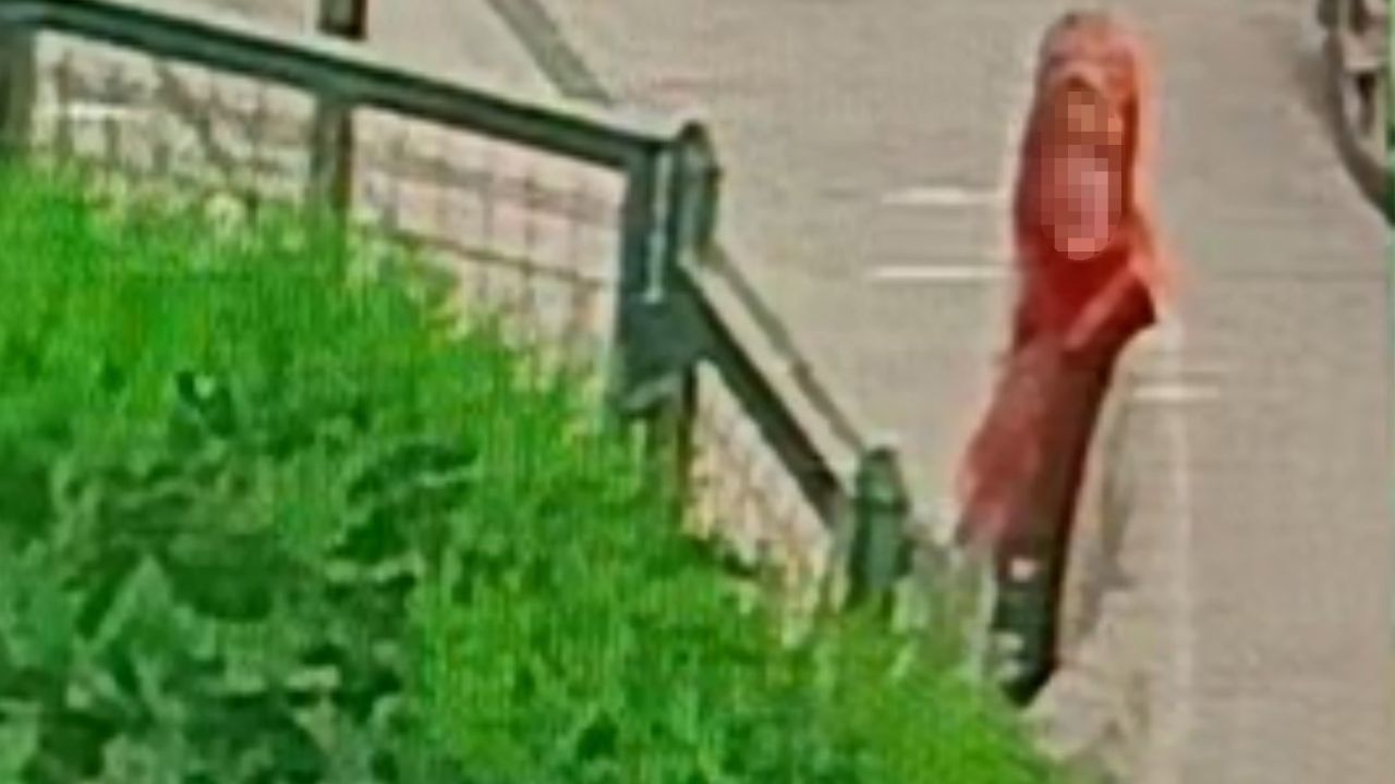 Ankara’da battaniye hırsızlığı kameraya yansıdı