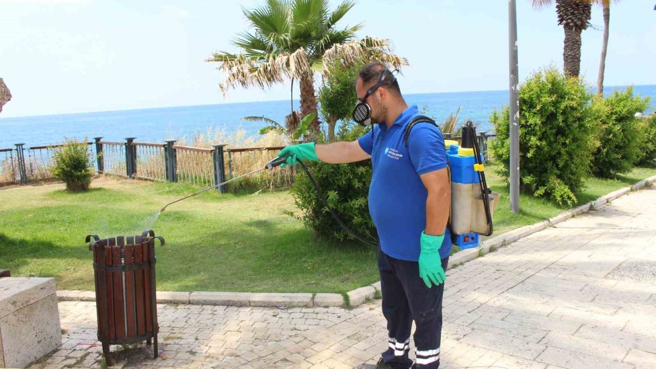 Antalya’da vektörle mücadele 19 ilçede sürdürülüyor