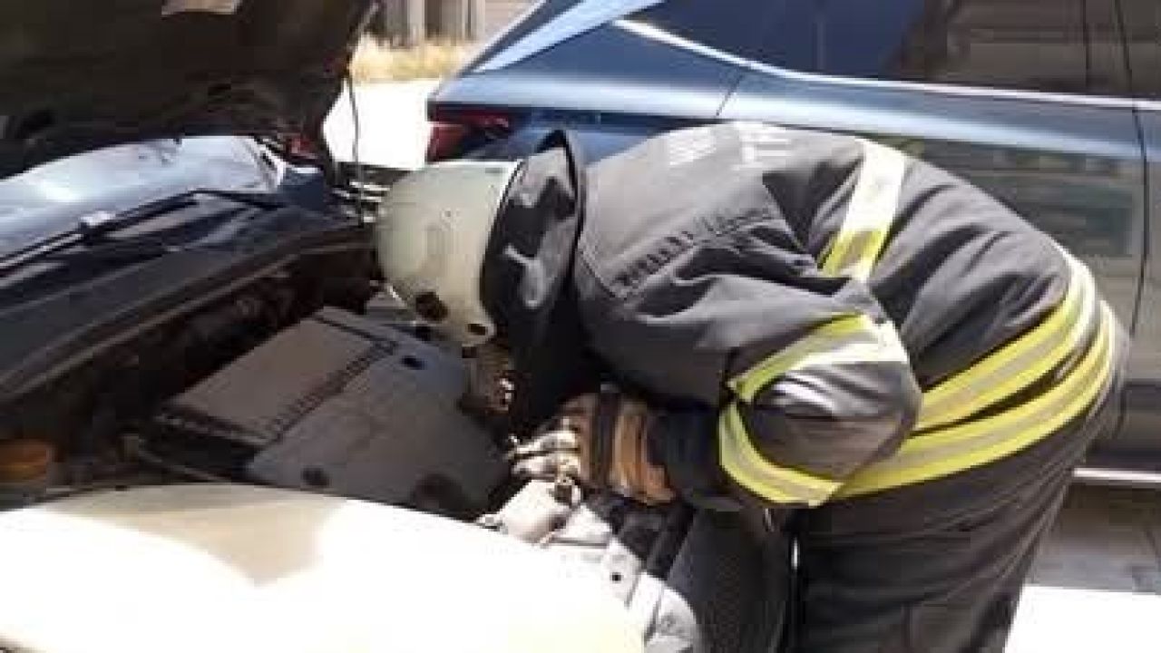 Arsuz’da aracın motor kısmına giren yavru kedi kurtarıldı