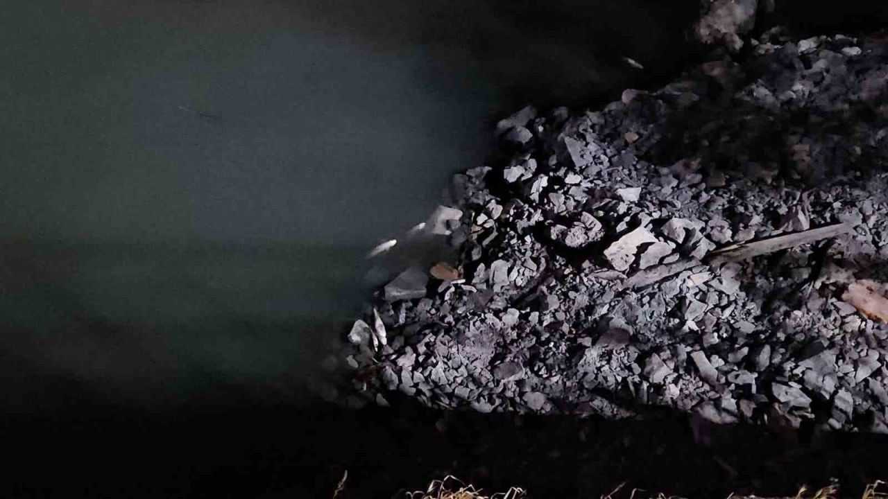 Bakırköy’de Çırpıcı Deresi’nde toplu balık ölümleri: AFAD inceleme başlattı