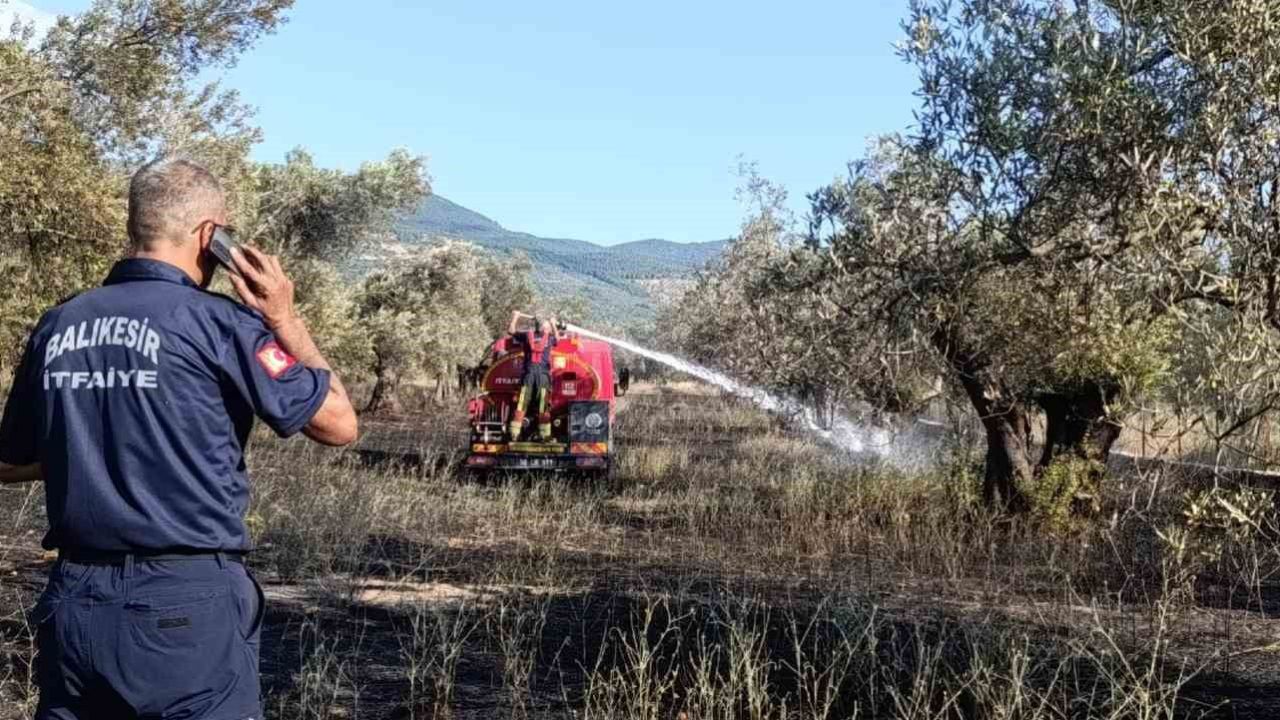 Balıkesir Ziraat Odası Başkanı Demirbay: "Bir yıllık emek bir sigara izmaritiyle kül olmasın"