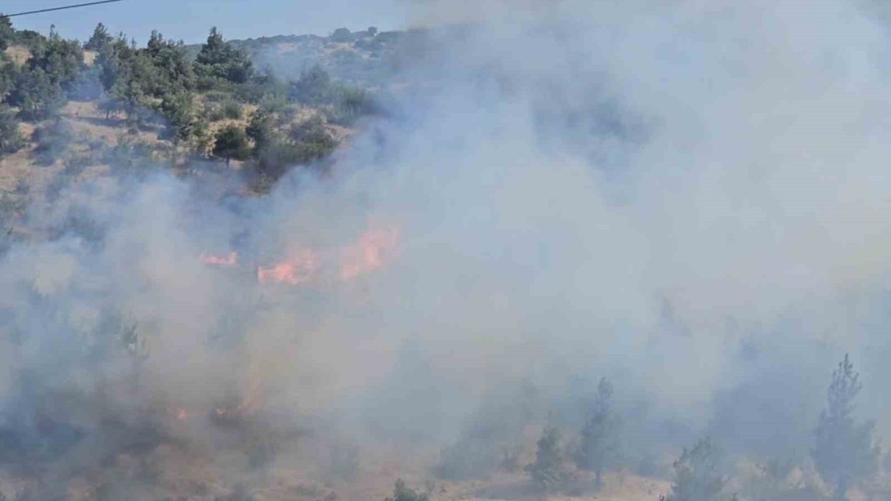 Balıkesir’de otluk ve koruluk alanda yangın