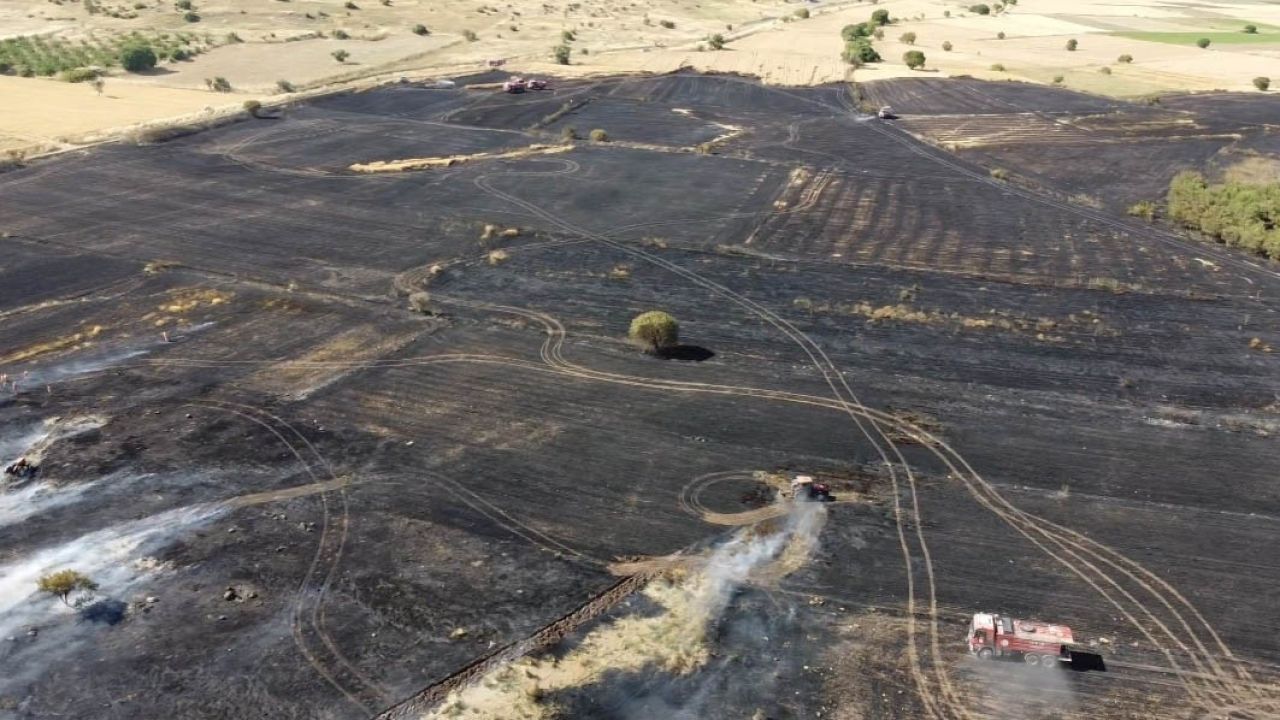 Balıkesir’deki arazi yangını söndürüldü