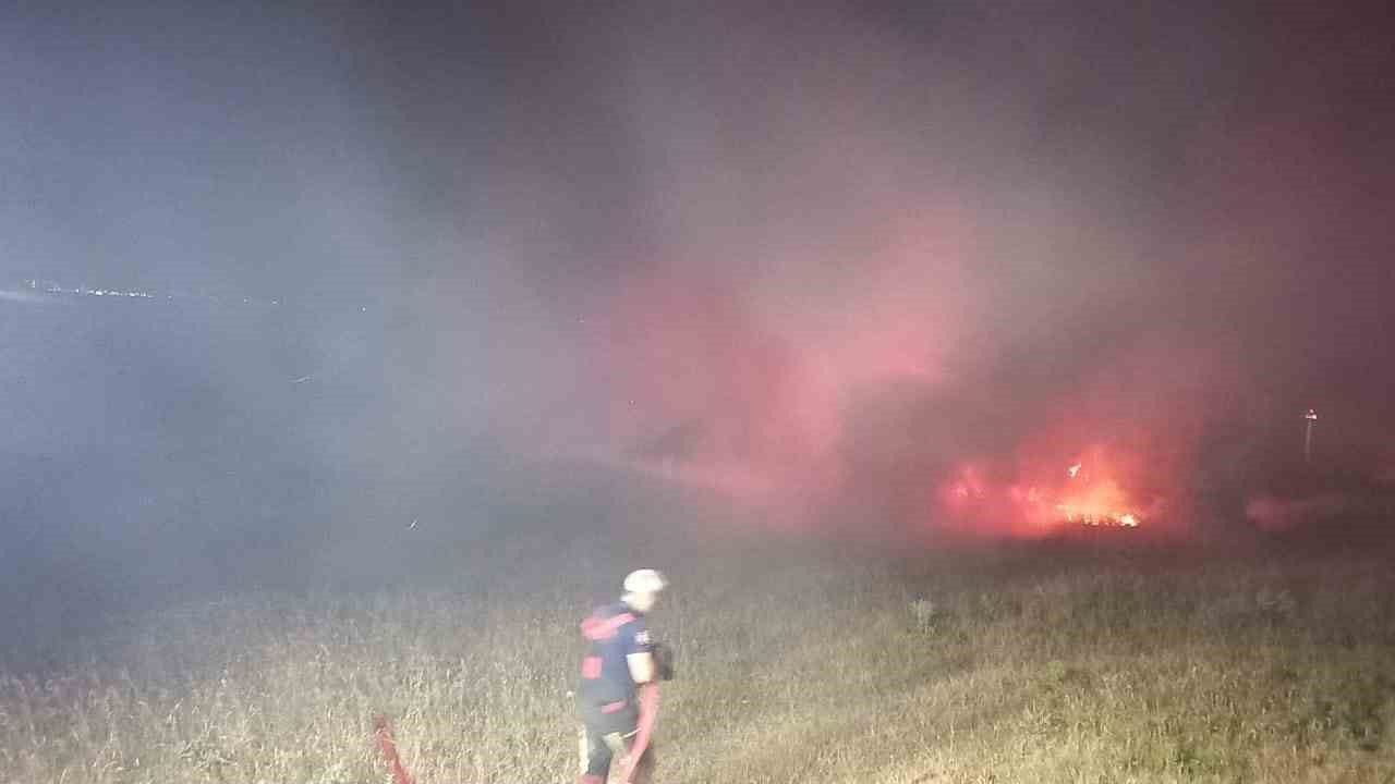 Bandırma’da eski askeri çamlıkta çıkan yangın söndürüldü