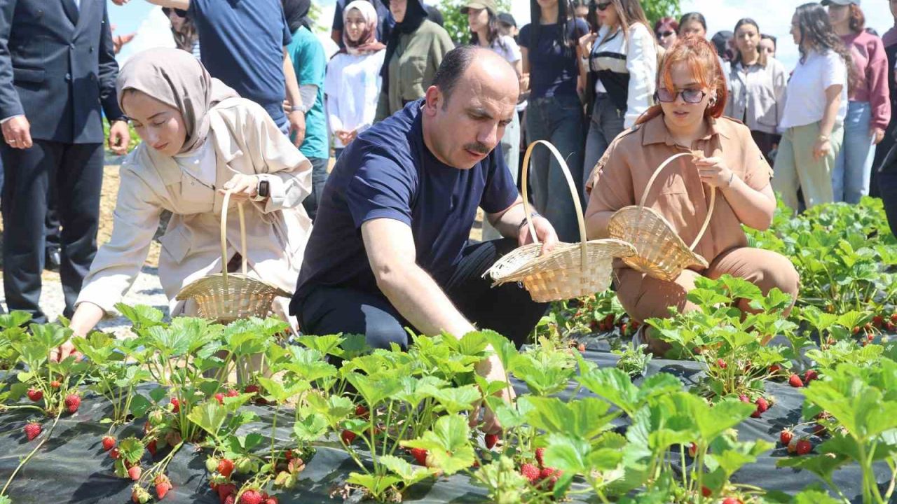 Başkan Altay, 2027 yılı tarımsal destek başvurularının 1 Temmuz’da başlayacağını duyurdu