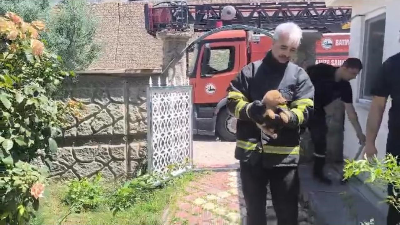 Batman’da fabrika duvarına sıkışan köpek kurtarıldı, işçiler hayvanı sahiplendi