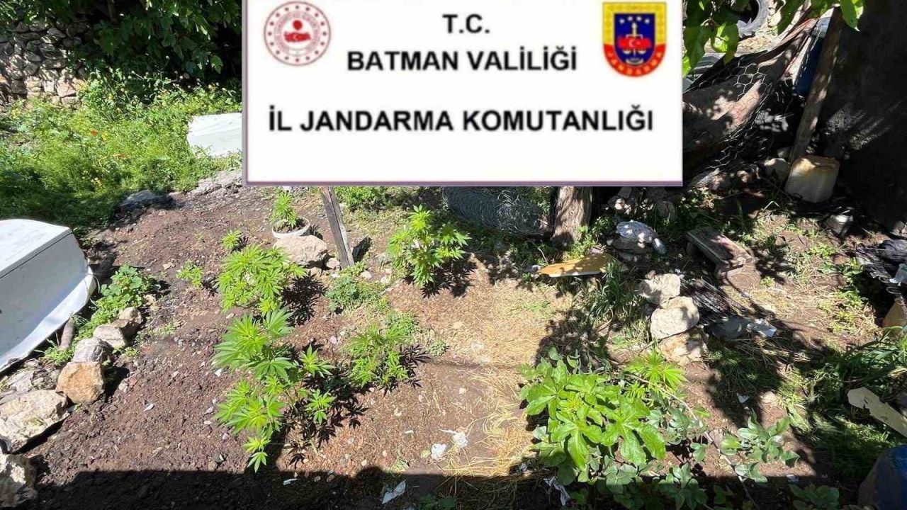 Batman’da uyuşturucu ve kaçak ürün operasyonu