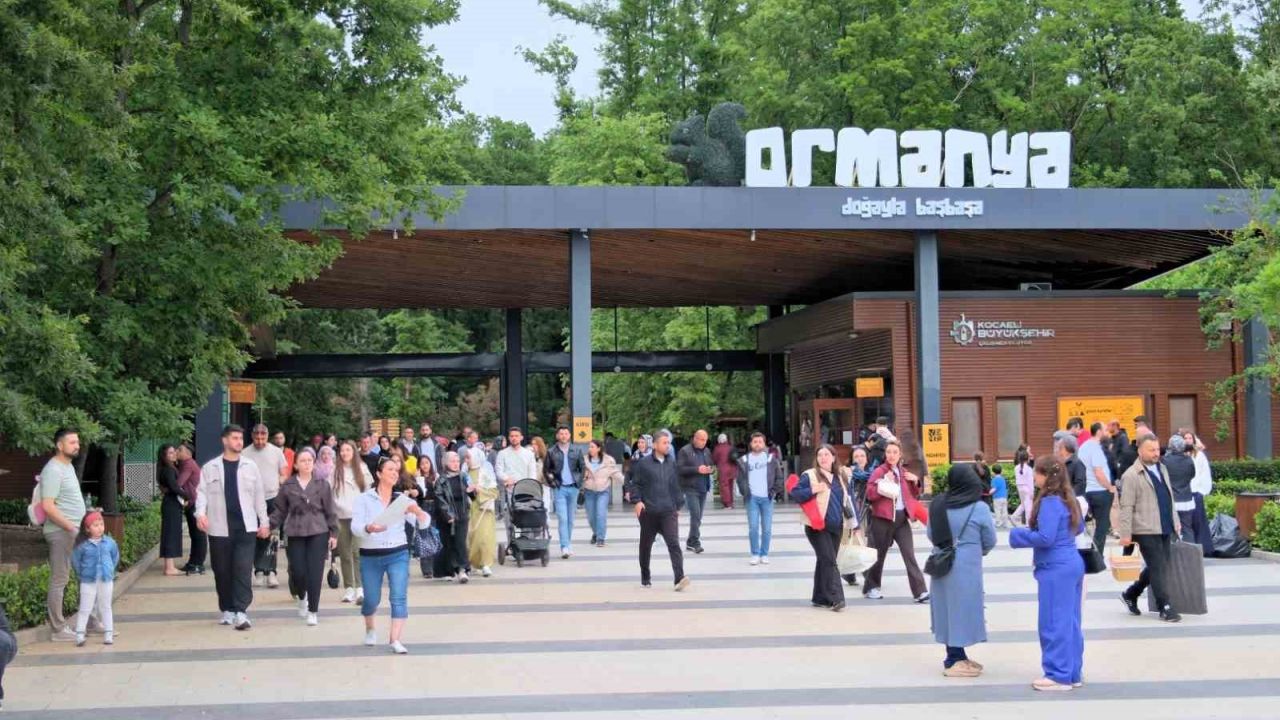 Bayramın gözdesi yine Ormanya oldu