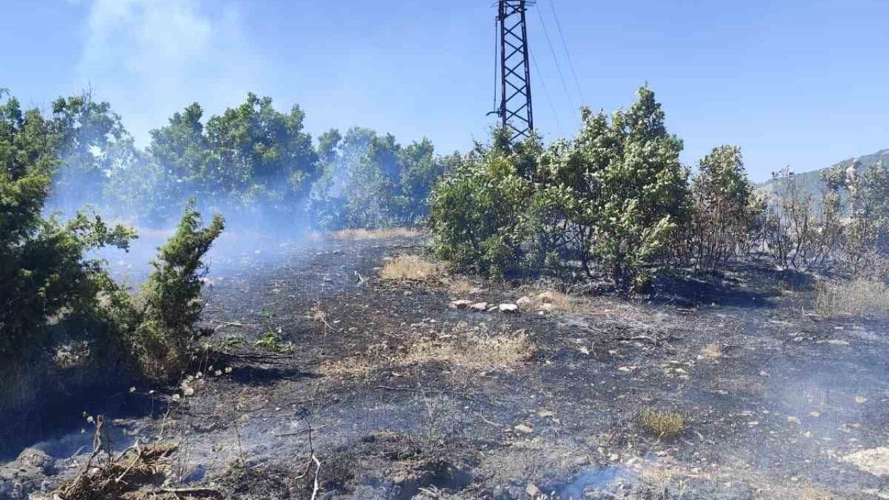 Bingöl’de çıkan orman yangını büyümeden kontrol altına alındı