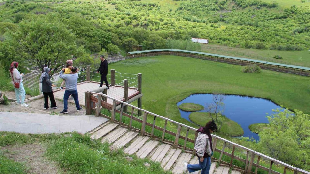 Bingöl’deki Yüzen Adalar’a bayramda ziyaretçi akını