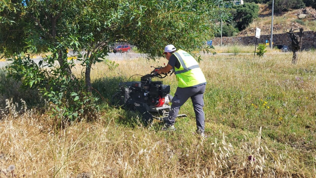 Bodrum’da ot temizliği çalışmaları tüm hızıyla devam ediyor