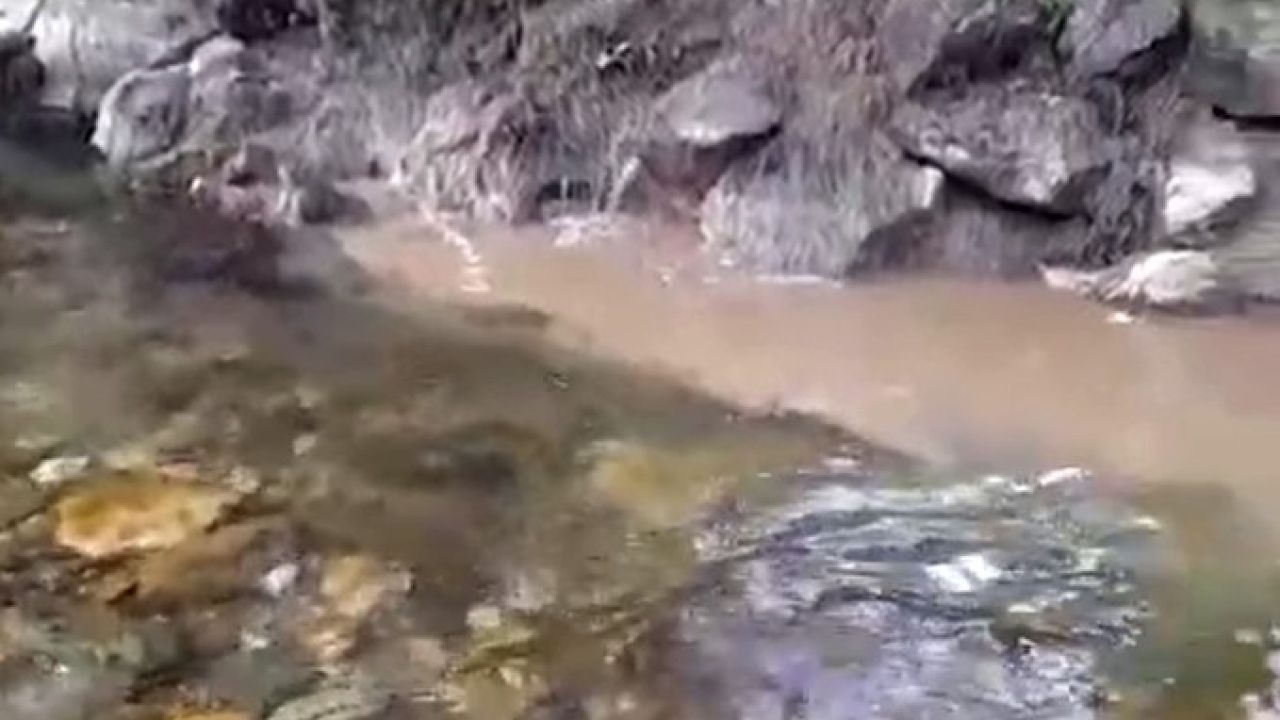 Bolu’da kanalizasyon sularının dereye karışmasına tepki