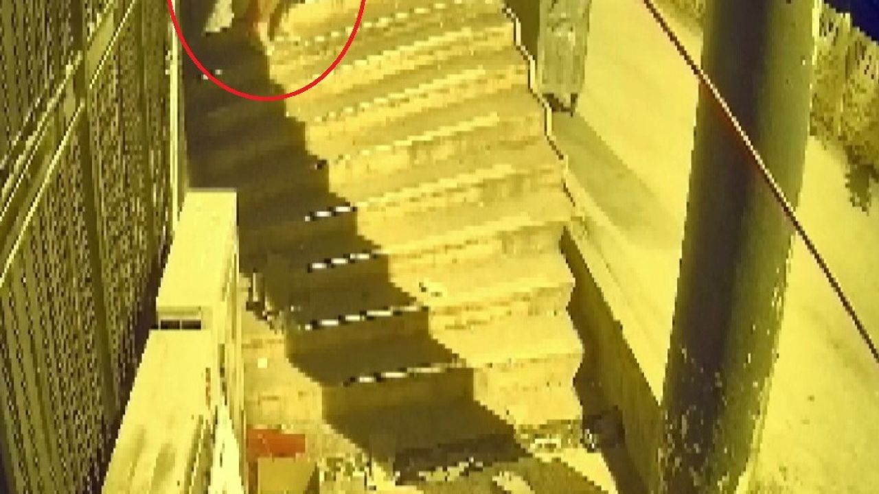 Böyle hırsızlık görülmedi: Dükkan sahibi şok oldu