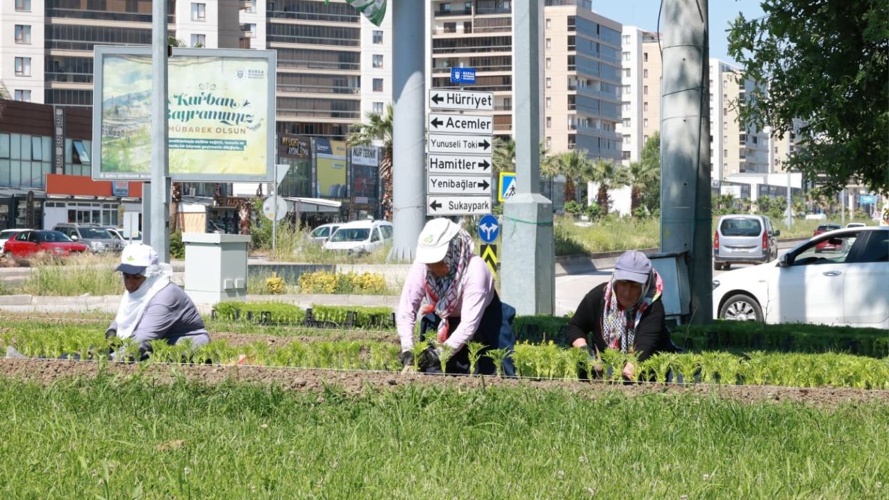 Bu yaz Osmangazi’de çiçek kokuları eksik olmayacak