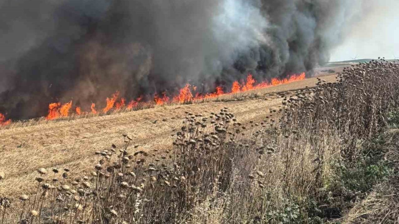 Buğday tarlası alev alev yandı