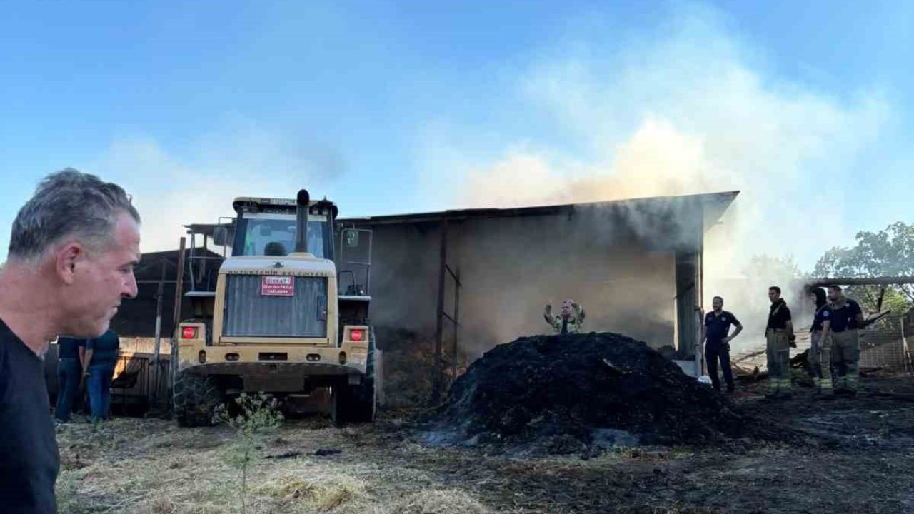 Bursa’da çiftlik yangını: 4 büyükbaş hayvan telef oldu