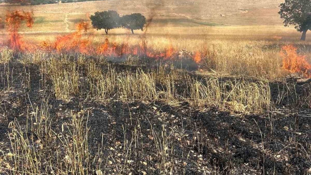Çınar’da tarla yangını