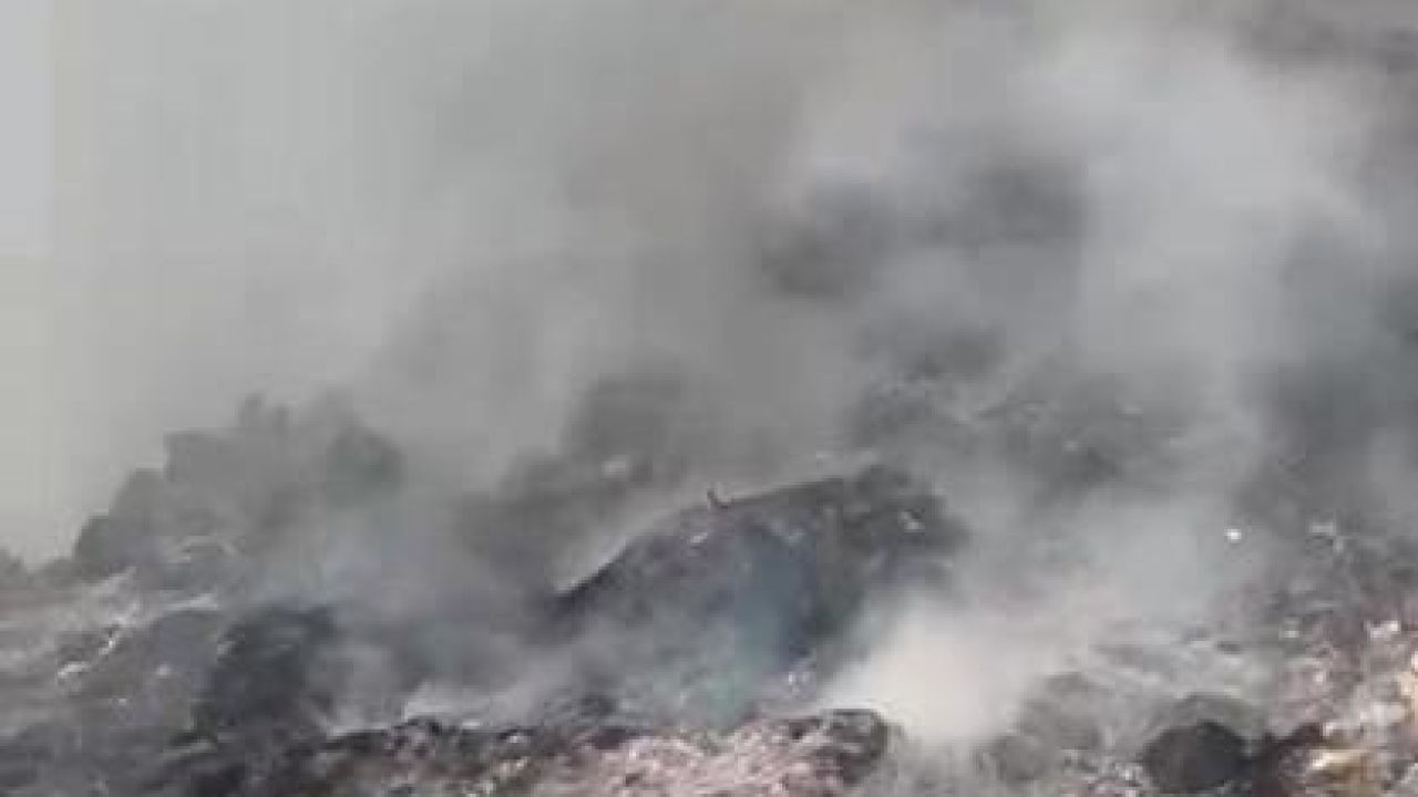 Çöp döküm alanındaki yangın ormana sıçradı