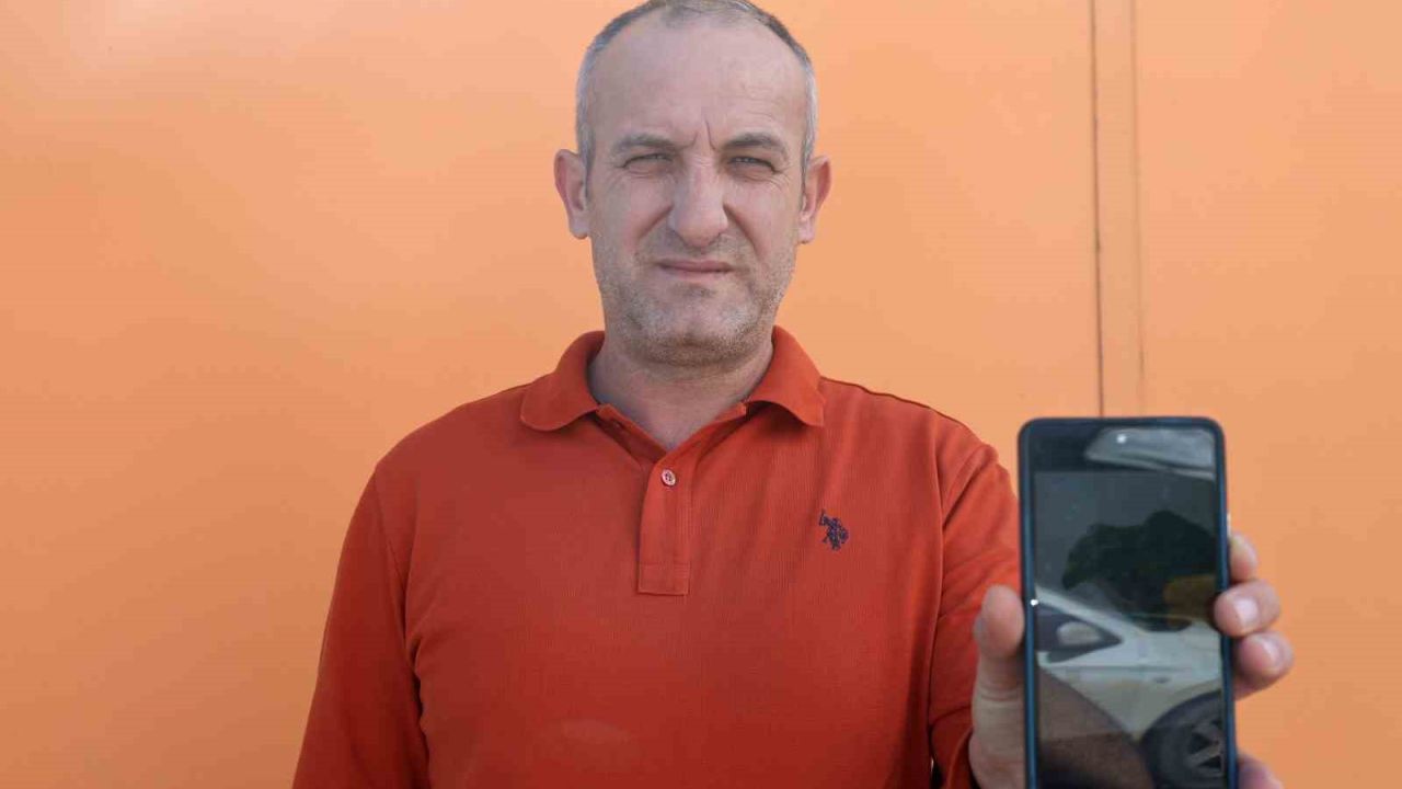 Devriye attığı esnada binaya çarpan yaralı şahini kurtardı