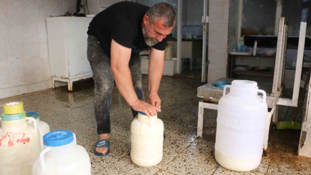 Diyarbakır’da kışlık peynir mesaisi başladı