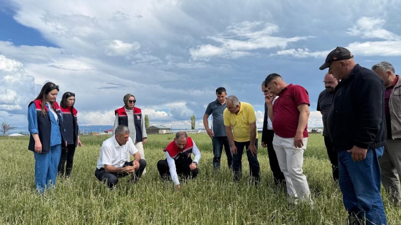 Dolu vurdu, ekipler sahaya indi: Kars’ta hasar tespit çalışmaları sürüyor