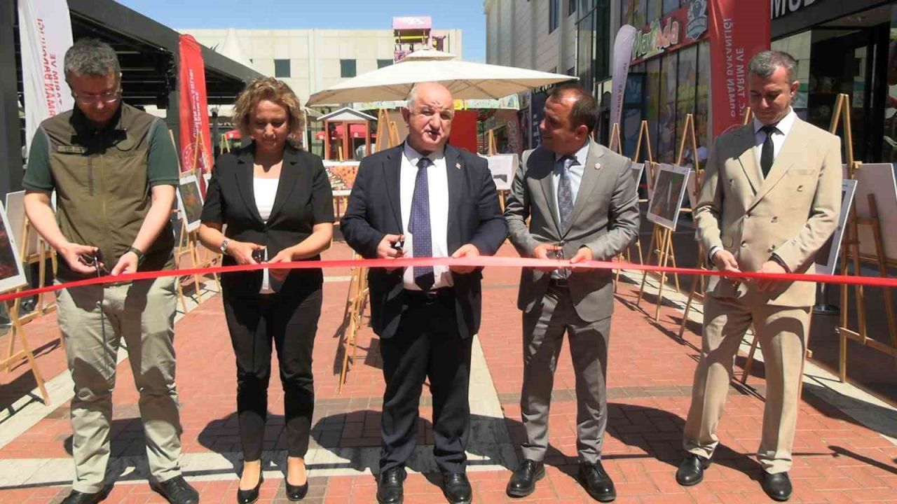 Edirne’de tabiatın ve emeğin hikayesi karelere yansıdı