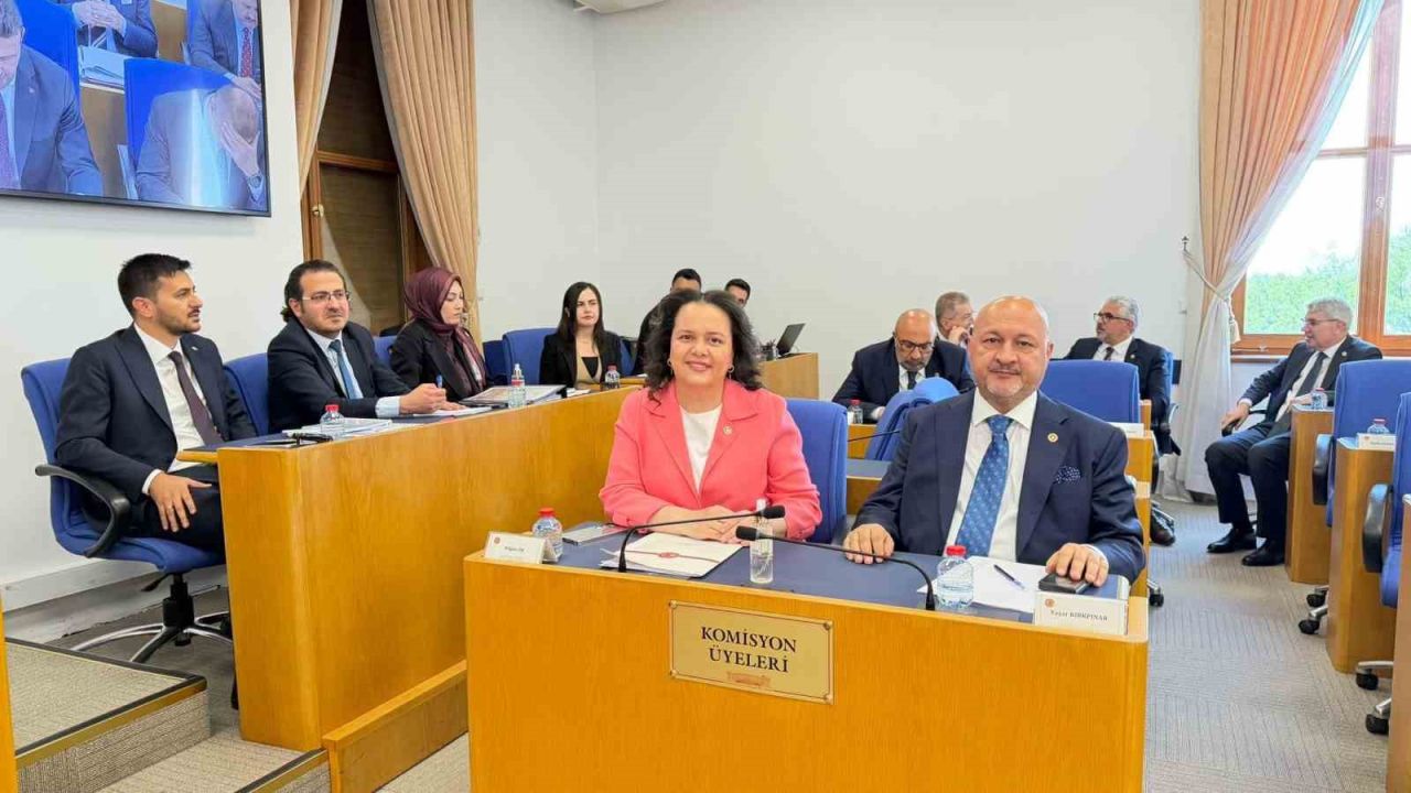 Emniyet, basın ve vergi ile ilgili düzenlemeleri içeren kanun teklifi Komisyon’da