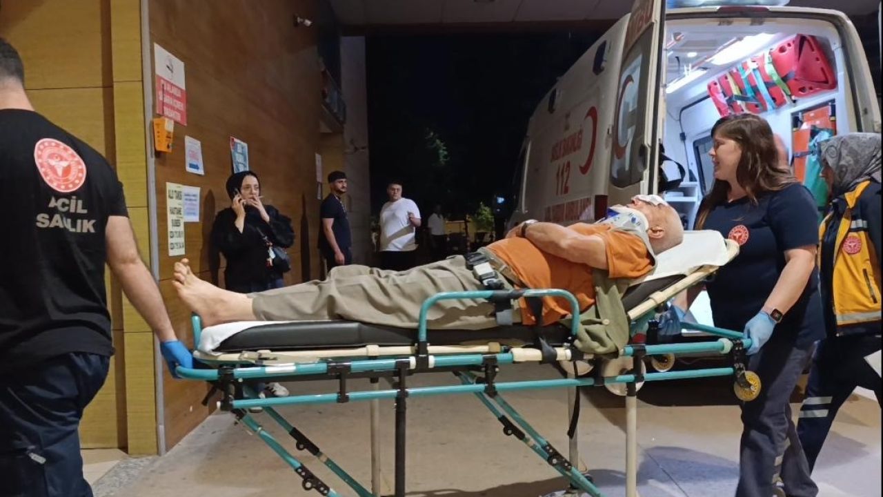 Erik toplamak için çıktığı ağaçtan düşerek yaralandı