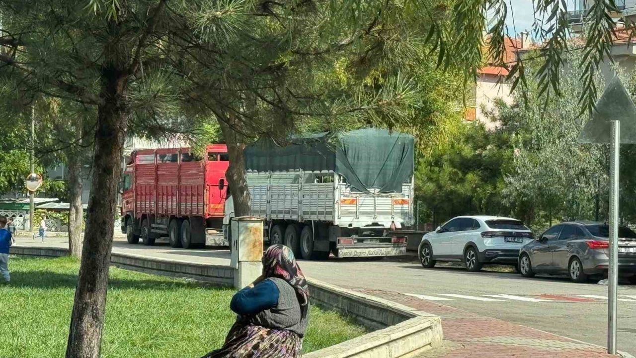 Erol’dan mahalle aralarına park eden tır ve kamyon sürücülerine önemli uyarı: