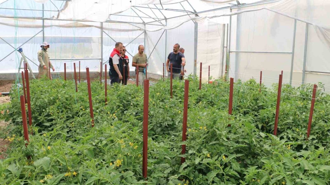 Erzincan’da seracılık yatırımları üretimi artırıyor