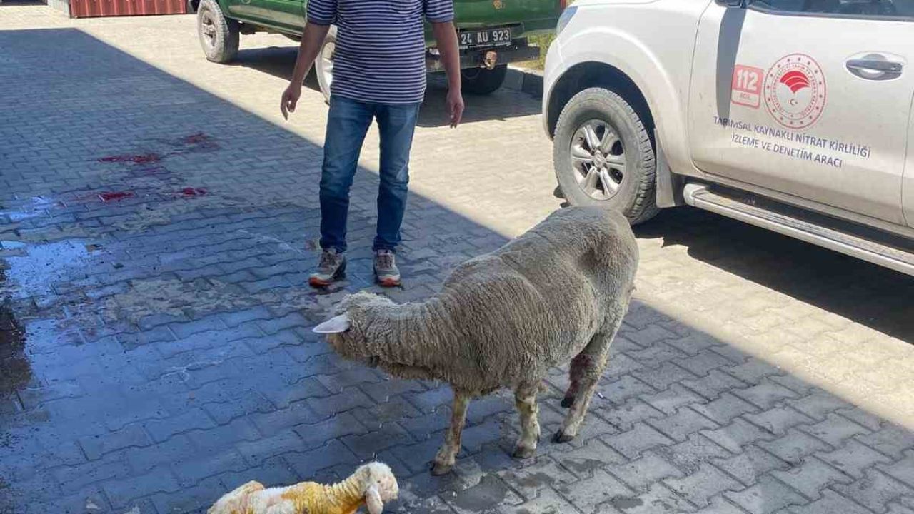 Erzincan’da zamanla yarış mutlu sonla bitti