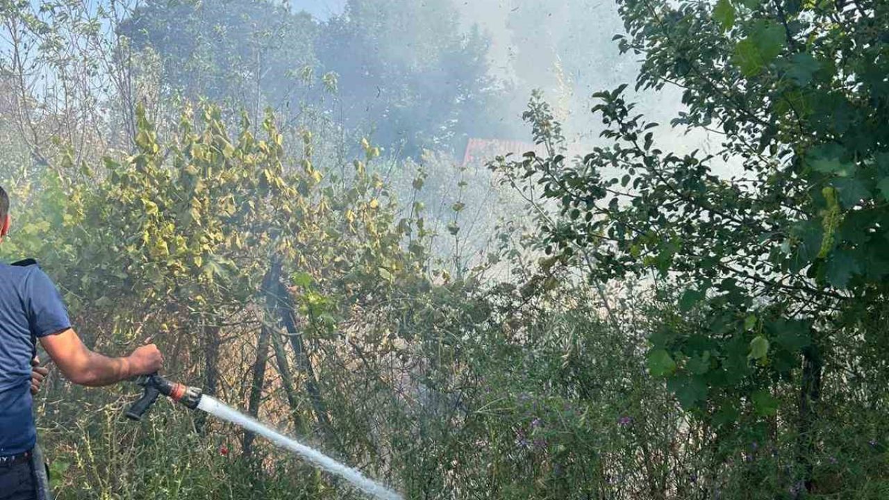Ezine’de otluk alanda çıkan yangın söndürüldü