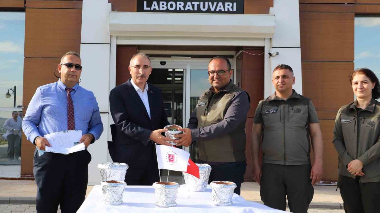 FÜ’de üretilen endemik bitkiler doğaya kazandırılıyor