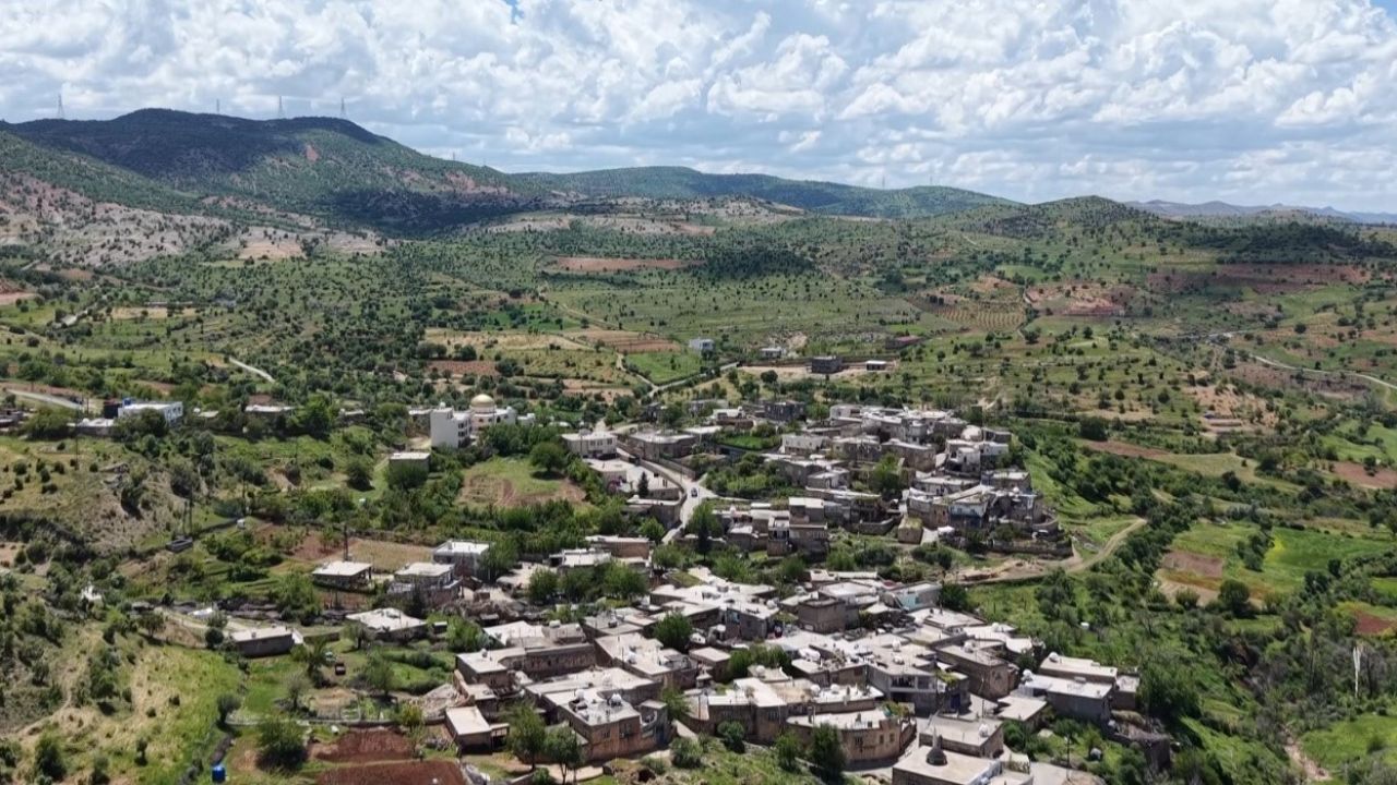 Gercüş’te bahar mesaisi: Şafak vaktiyle çiftçiler tarlalara akın ediyor