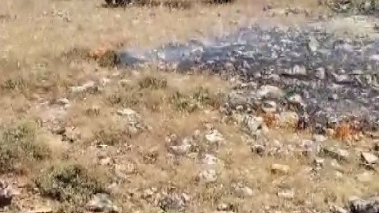 Gercüş’te korkutan yangın: Köyün geçim kaynağı ekili alanlar son anda kurtarıldı
