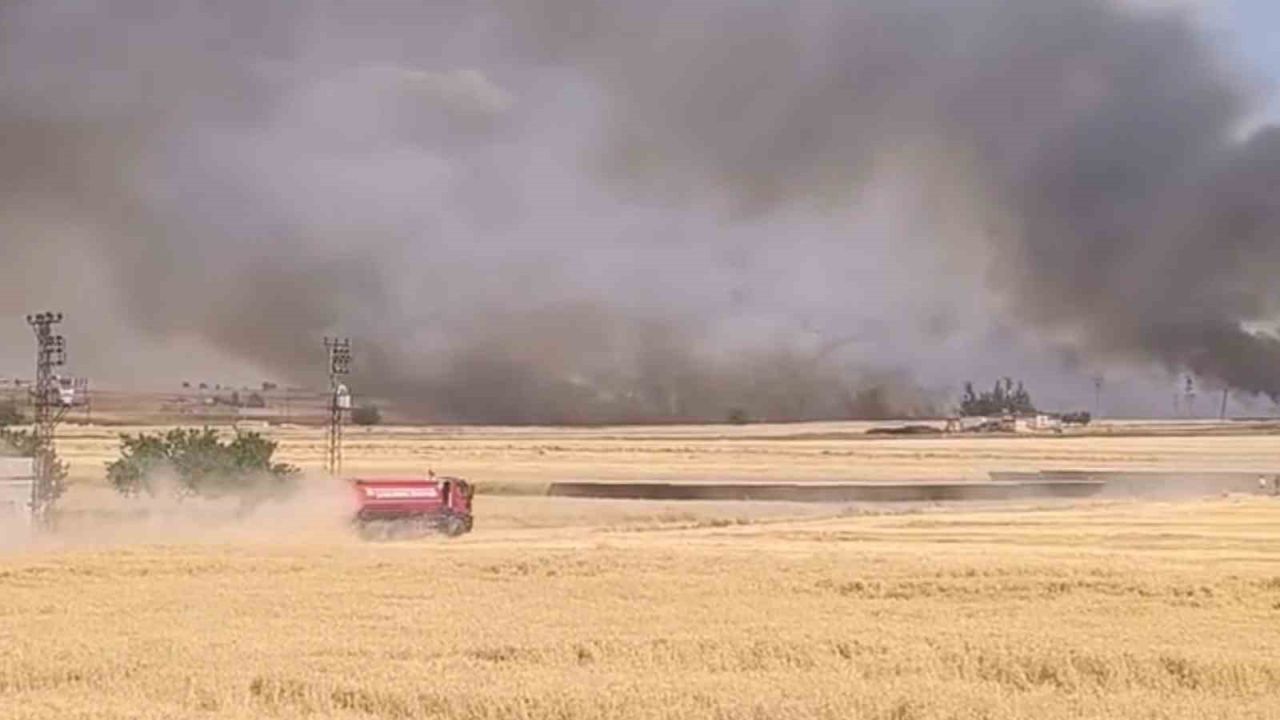 Harran’da yüzlerce dönümlük ekili arazi yandı