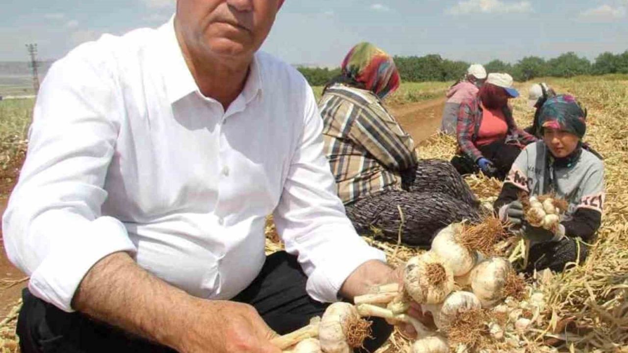 Hasan Altun’dan ’Toprak Bayramı Haftası’ kutlama mesajı