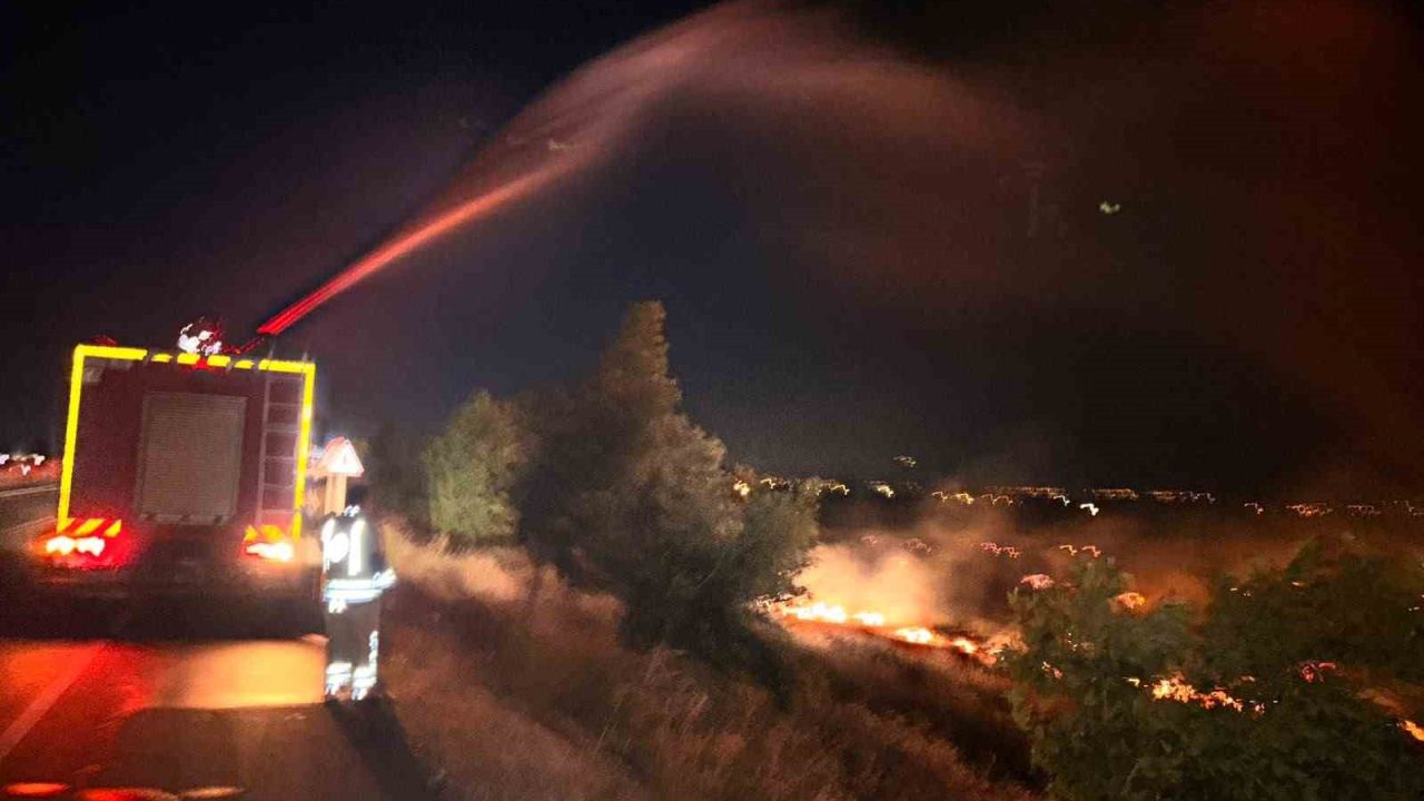 Hatay’da anız yangını zeytinliğe sıçradı: 200 dönüm arazi zarar gördü