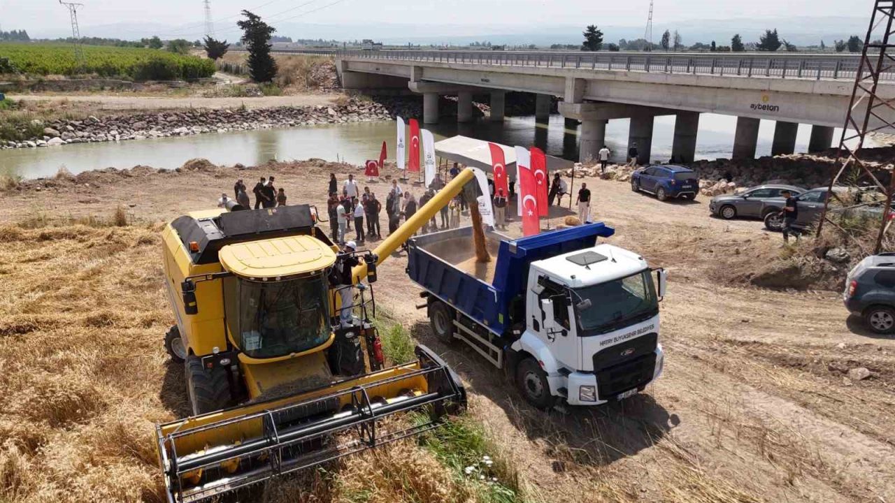 Hatay’da "her tohum bir gıda" projesinde ekilen buğday hasat edildi