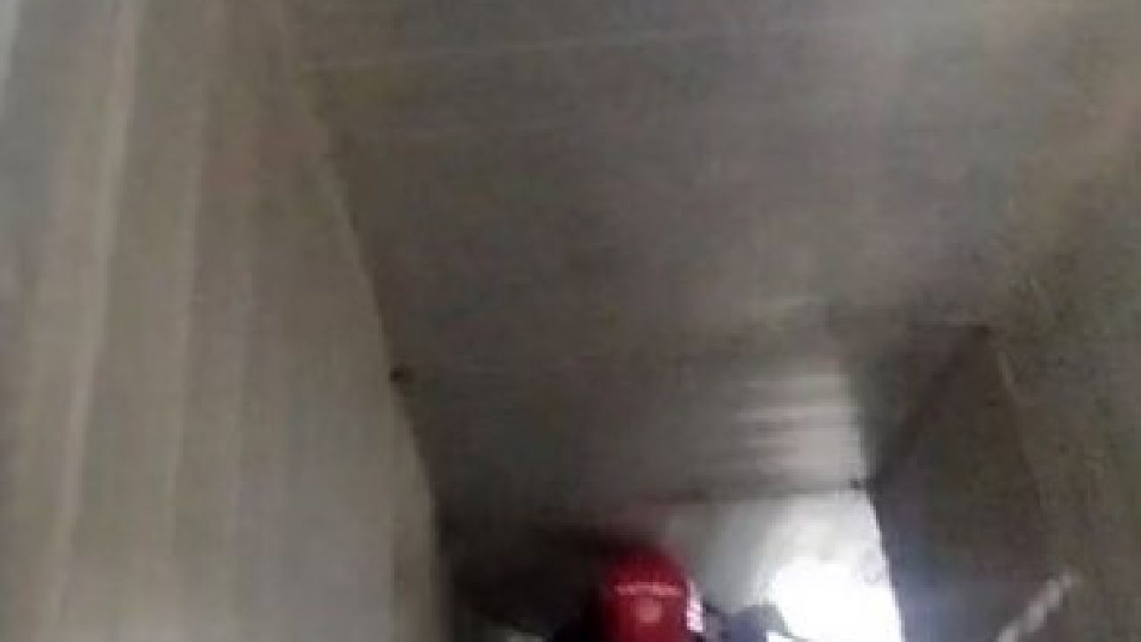 Havalandırma boşluğuna sıkışan kedi kurtarıldı