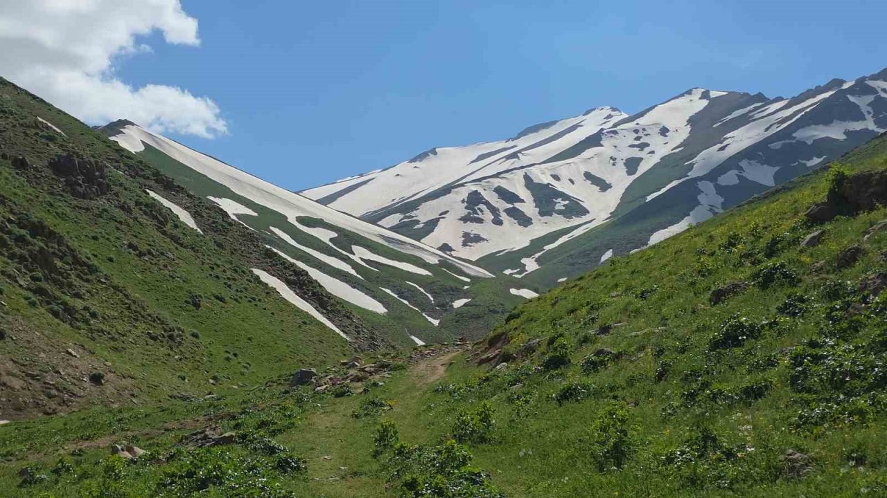 Haziran ayında karda kayıp kartopu oynadılar