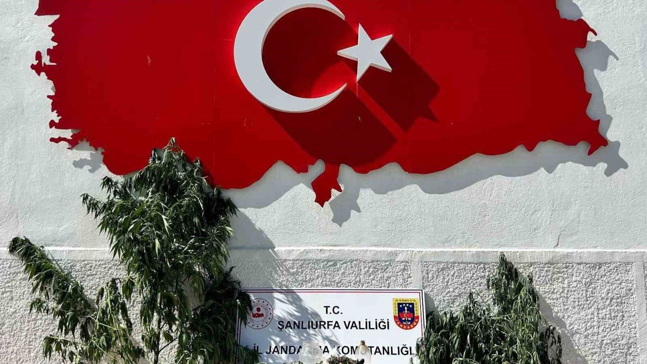 Hilvan’da uyuşturucu operasyonu: 1 gözaltı