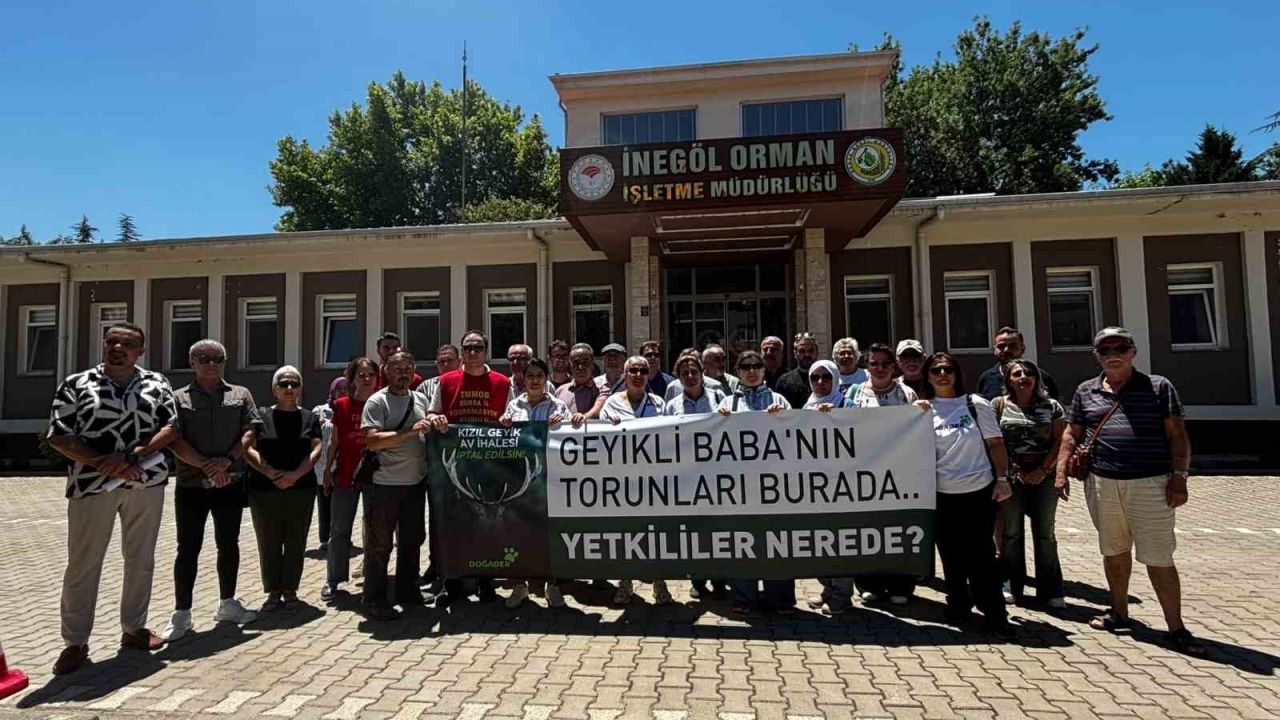 İnegöl’de DOĞADER’den kızıl geyik ihalesine tepki: "Katliam kararı geri çekilsin"
