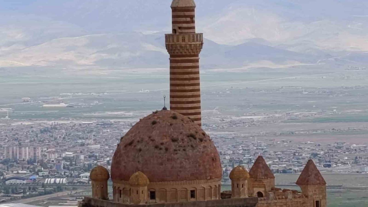 İshakpaşa Sarayı’nın kubbesindeki otlar ziyaretçilerin dikkatini çekti