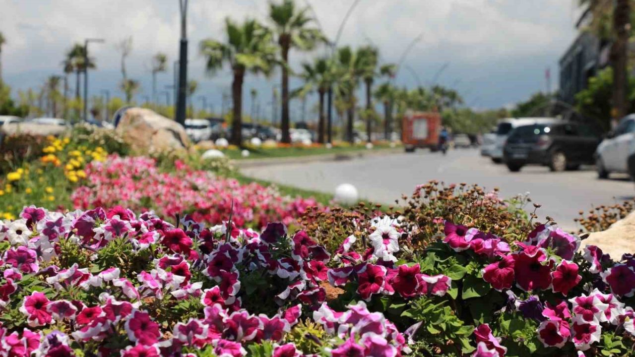İskenderun sahili renkli çiçeklerle süslendi.